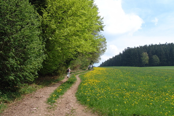 Panorama-Weg nach St. Peter und auf mittelalterlichen Wegen zurück