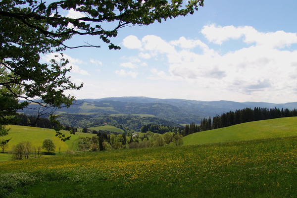 Auf heimlichen Pfaden durch Wald und Feld zum Zwerisberg und aussichtsreich zurück