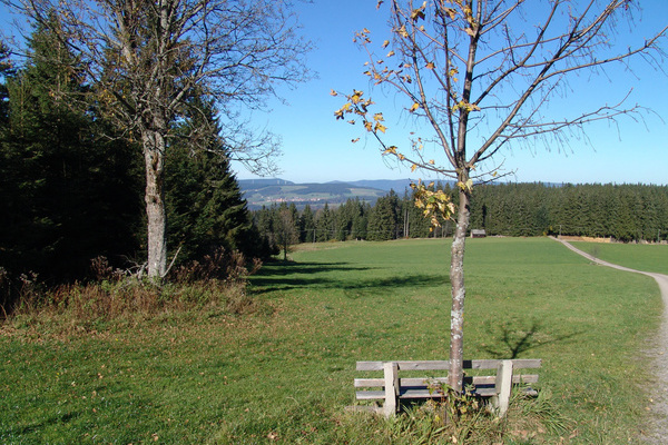 Über offene Höhen und schattige Wälder nach Buchenbach